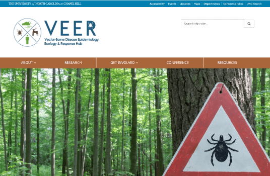 Screenshot of Veer Homepage